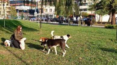 Köpeğine Doğum Günü Yapmıştı, Gelen Hediye Mamaları Sokak Hayvanlarına Dağıttı