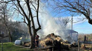 Sakarya'da Bahçedeki Samanlıklar Alev Alev Yandı