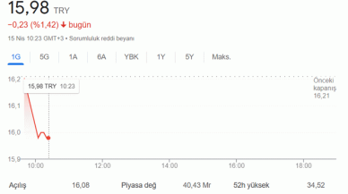 Hektaş Hisse Son Dakika...