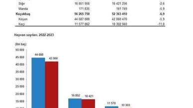 Kırmızı Et Fiyatları 2024