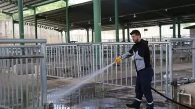 Modern Hayvan Pazarı Kurban Bayramı’na hazırlanıyor