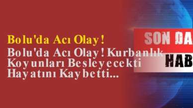 Bolu'da Acı Olay! Kurbanlık Koyunları Besleyecekti Hayatını Kaybetti...