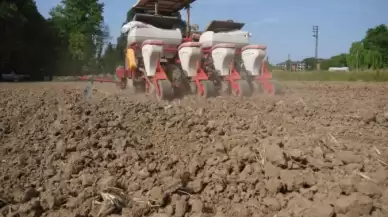 Düzce Belediyesi Tarımı Destekliyor...