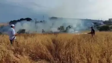 Gebze'de Yulaf Tarlasında Yangın Çıktı