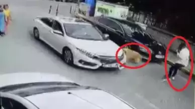 Kartepe'de Karşıya Geçen Köpeğe Çarptı