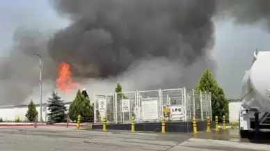 Kocaeli'de Palet Fabrikasındaki Yangına Müdahale Devam Ediyor...