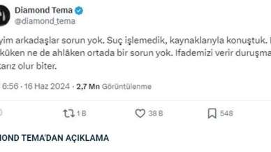 Ünlü Youtuber Diamond Tema Hakkında Soruşturma