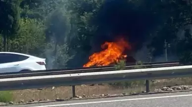 Sakarya'da Otomobil Cayır Cayır Yandı