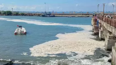 Karadeniz'deki Suyun Kirlilik Nedeni Algler