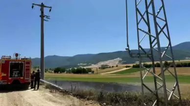 Bolu'da Trafodan Çıkan Yangın Kıvılcımları Arpa Tarlasını Küle Çevirdi