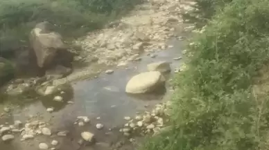 Sakarya'da Eliyle Balık Tutmaya Çalışan Şahıs Boğuldu