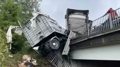 Otoyolda Kontrolden Çıkan Büyükbaş Hayvan Yüklü Tır Bariyerlerde Asılı Kaldı