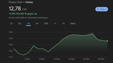 Hektaş Hisse Nedir Hektaş Nasıl Bir Firma?