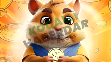 2 Ağustos 2024 Hamster Kombat şifresi nedir? Hamster Kombat 2 Ağustos 2024 günlük şifresi belli oldu