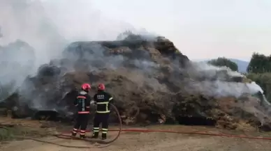 Sakarya'da Çocukların Kibrit Oyunu Yangın Çıkarttı