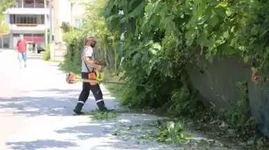 Serdivan’da Yaz Bakımı Devam Ediyor