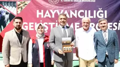 Düzce'de Arı Üreticilerine Ana Arı Dağıtıldı