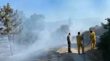 Anız Yangınında 40 Dönümlük Arazi Kül Oldu