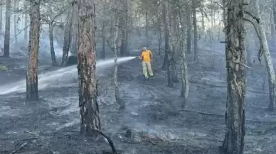 Bolu’da Örtü Yangınında 2 Dönümlük Alan Kül Oldu