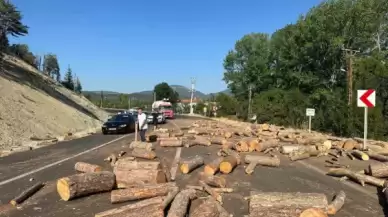 Bolu'da Kamyonda yüklü odunlar yola saçıldı