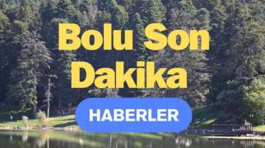 Bolu'da Kontrol Altına Alınan Yangın Tekrar Alevlendi