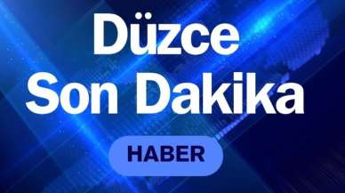 Düzce'de Özel Bölmelere Gizli Silah ve Tüfek Ele Geçirildi