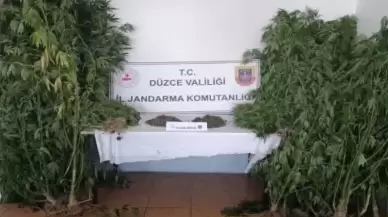 Düzce’de 42 Şahsa Uyuşturucudan İşlem Yapıldı