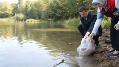 Düzce’de Göl ve Göletlere 35 Bin Sazan Bırakıldı