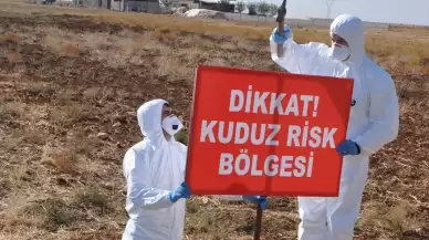 24 Ekim’de Kocaeli’ye Havadan Kuduz Aşısı Atılacak