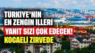 Türkiye'nin En Zengin İlleri Hangileri? Yanıt Sizi Şok Edecek! Kocaeli Zirvede