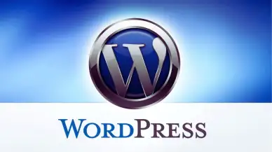 WordPress Nedir? Web Siteleri ve Bloglar İçin Popüler CMS