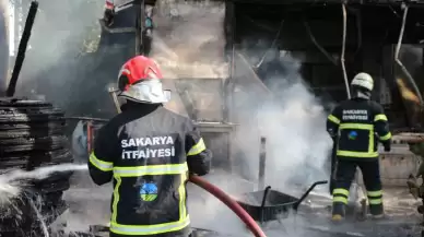 Sakarya Akyazıda Mesire Alanını Alevler Sardı! Ahşap Tesisin Mutfağı Küle Döndü