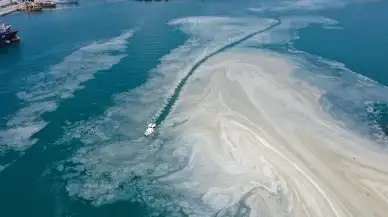 Kocaeli'nde Müsilaj Tehlikesi Yeniden Başgösterdi! Marmara Denizi'nin Kabusu Geri Döndü