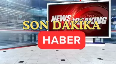 Fındık Tarlasında Çıkan Silahlı Kavgada Bir Kişi Yaralandı, 5 Şüpheli Gözaltına Alındı