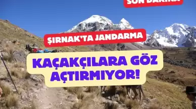 Şırnak’ta Kaçakçılara Büyük Darbe: 16 Kişi Gözaltına Alındı