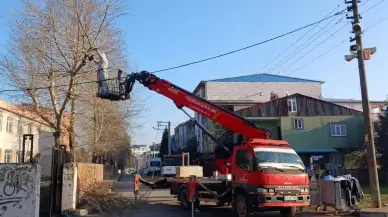 Okullarda ağaç budama çalışmaları hız kesmiyor