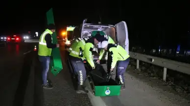 Sakarya'da jandarma trafik kazası bilançosunu açıkladı