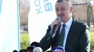 Kocaeli'de son 22 yılda dikilen ağaç sayısı 9 milyonu geçti