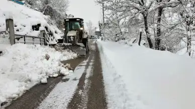 Düzce'de kar esareti: 5 köy yolu hâlâ kapalı