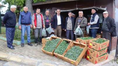 İzmit Belediyesi köylerde fide dağıtımına başladı