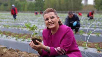 Çilek Köy ürünleri Raflarda Yerlerini Aldı