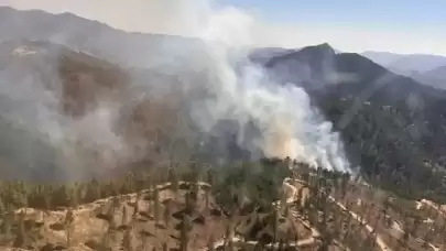 Adana’da orman yangını