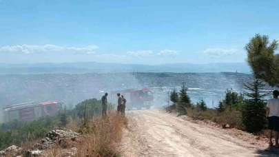 Kocaeli’de ağaçlık alanda çıkan yangında kundaklama iddiası
