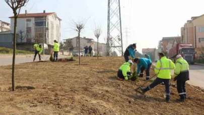 Kocaeli Büyükşehir Belediyesi'nden 800 Fidan