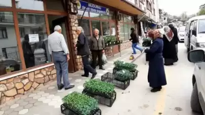  Mudurnu'da Bahar Havası: Seralar Yeşeriyor!