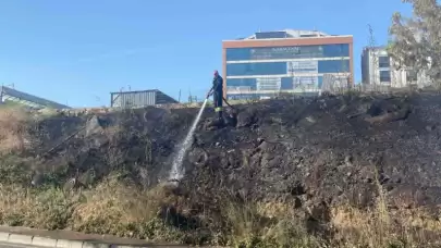 Kocaeli Gebze’de Arazide Yangın Çıktı