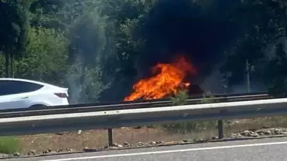 Sakarya'da Otomobil Cayır Cayır Yandı