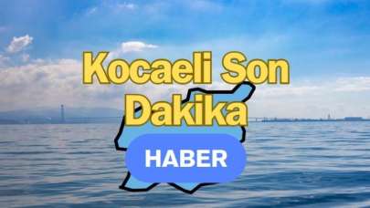 Kocaeli Körfez'de Deniz Kalp Krizi Getirdi