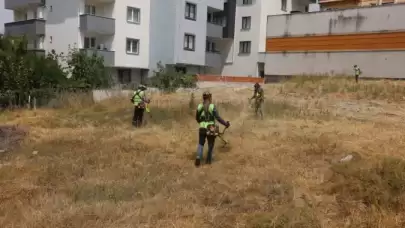 Çayırova'da Yabani Otlar Temizlendi