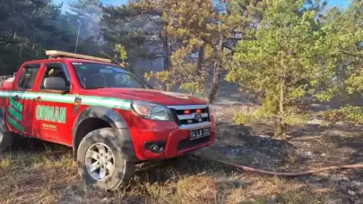 Son Dakika Bolu'da Orman Yangını